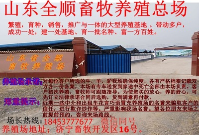 堆龍德慶縣優質波爾山羊成年種羊及畜牧漁業飼料銷售服務