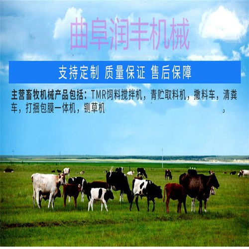 智能養(yǎng)殖新篇章 自動喂料車如何革新畜牧飼料管理