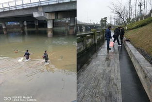 區(qū)畜牧局重拳出擊 多措并舉開展?jié)O業(yè)“打非”專項(xiàng)行動(dòng)，規(guī)范畜牧漁業(yè)飼料銷售市場(chǎng)