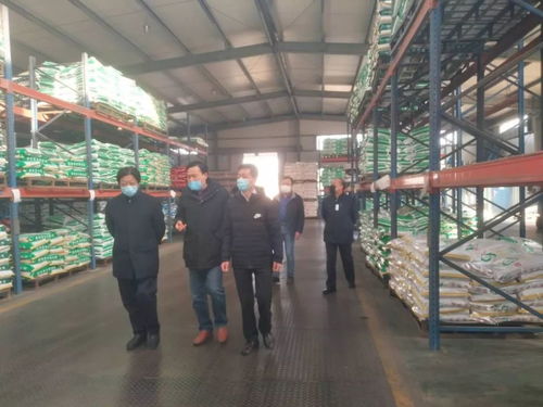 安池集團(tuán)預(yù)混料基地迎來山東省畜牧獸醫(yī)局唐建俊局長(zhǎng)一行調(diào)研指導(dǎo)，聚焦畜牧漁業(yè)飼料銷售發(fā)展