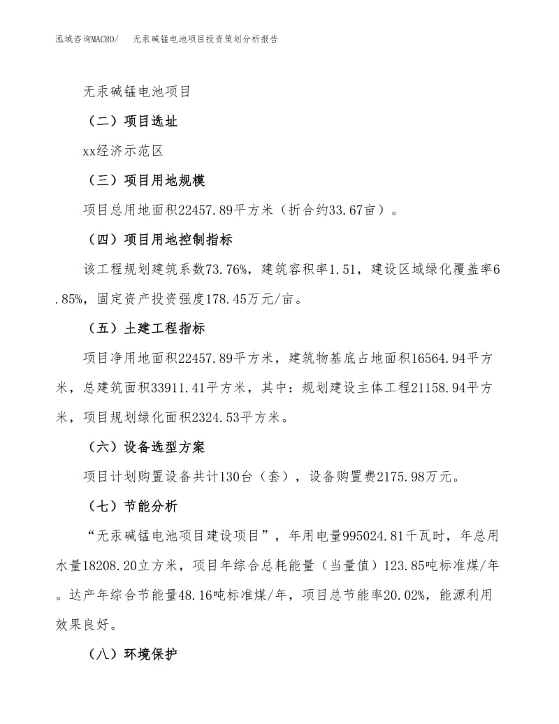 無汞堿錳電池項目投資策劃分析報告范文模板.docx