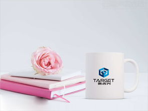 北京泰吉興投資公司標志設計案例圖片與理念說明 北京西風東韻設計公司